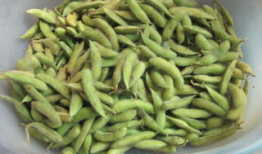 麻豆焖,传统美食的现代化演绎